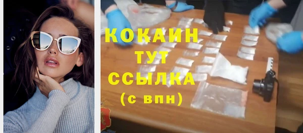 твердый Осинники