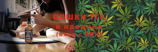 амф Осташков