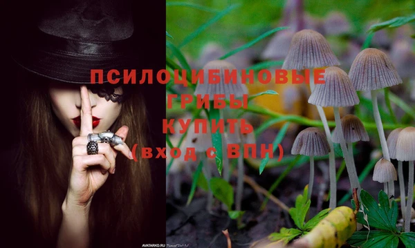 гидра Остров